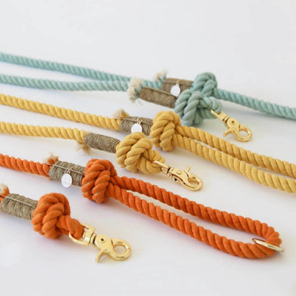 Rope Leash - Teal Gem