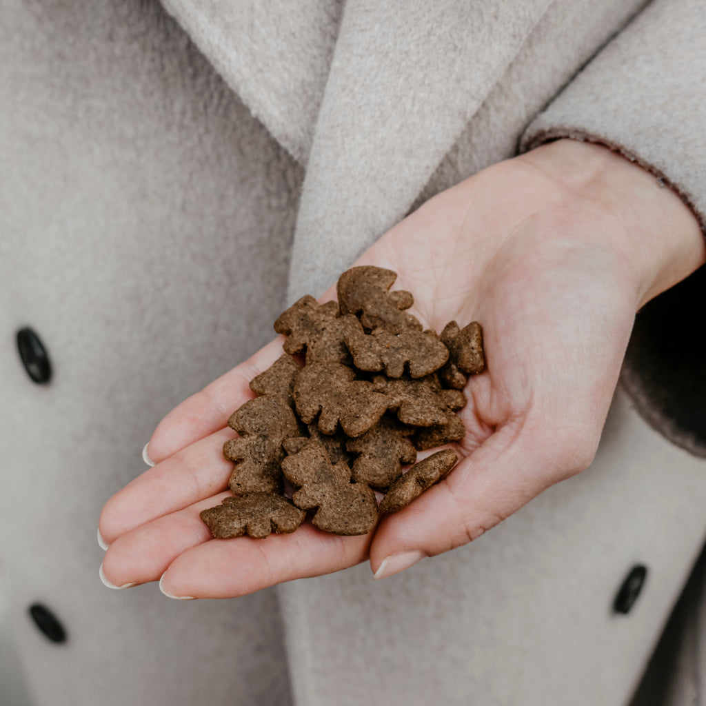 Snack crujiente de salmón con arándanos