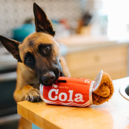 Good Boy Cola