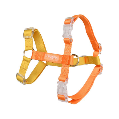 Dog Harness - Golden Hour