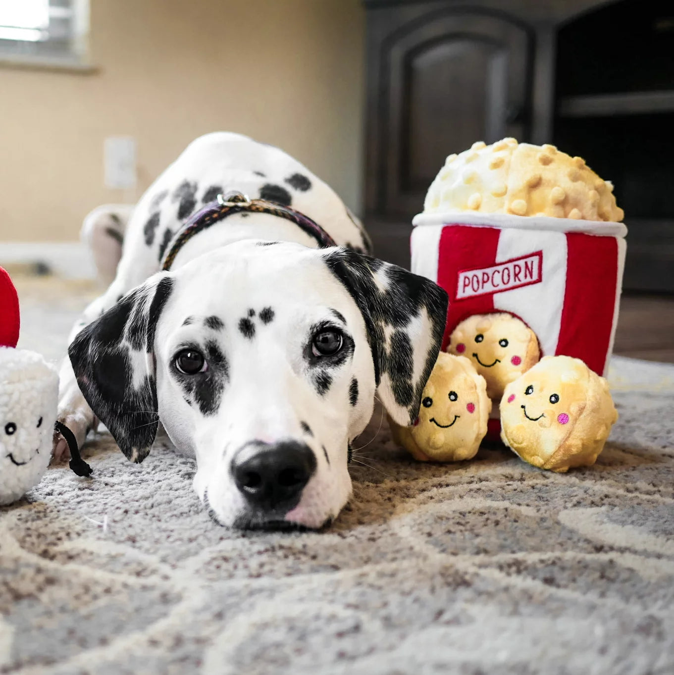 Zippy Burrow™ - Popcorn Bucket