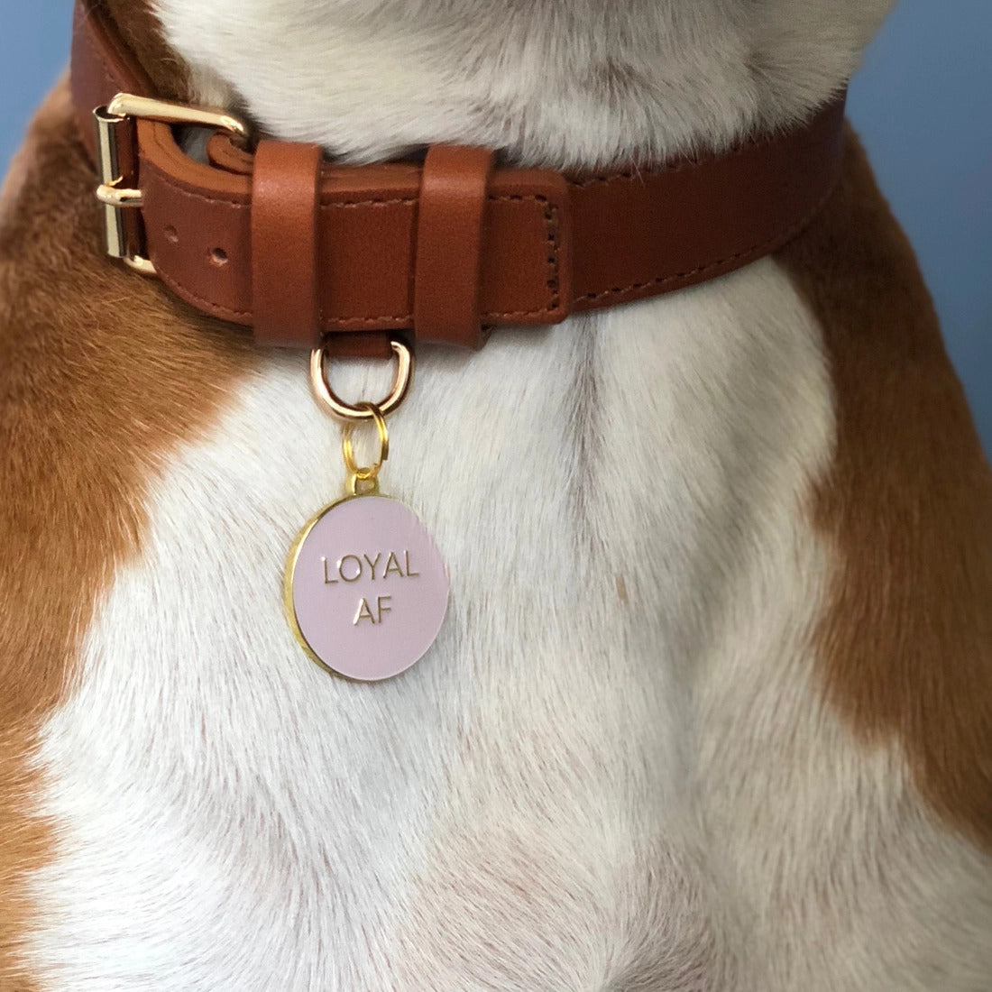 Loyal AF Dog Tag - Rosa