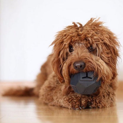 Odin Moderno Juguete Rompecabezas Interactivo para Perros - Gris Pizarra