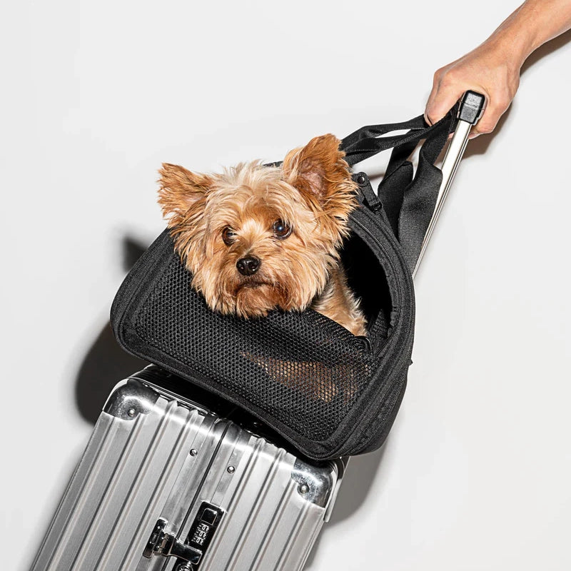 Travel Carrier - Negro