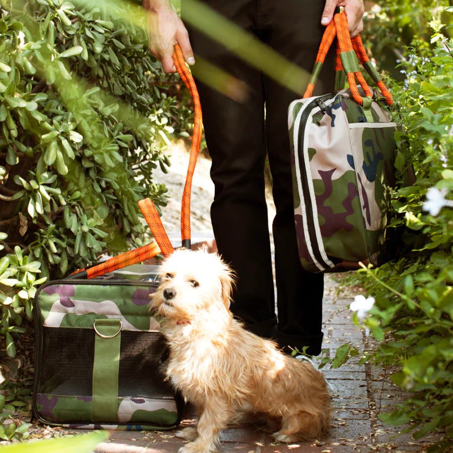 Transportín para mascotas fuera de la oficina - Camuflaje / Naranja