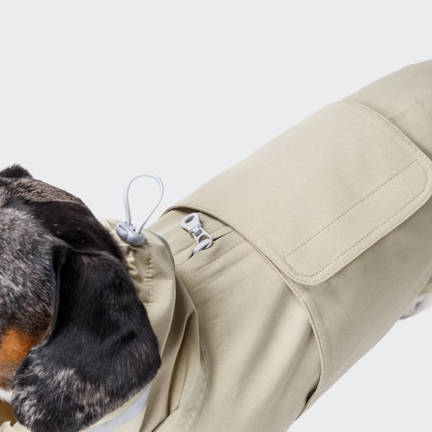 Cloud7 Impermeable DACHSHUND - Hamburgo Marfil