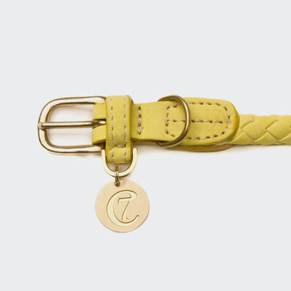 Cloud7 Dog Collar Ravello - Lemon