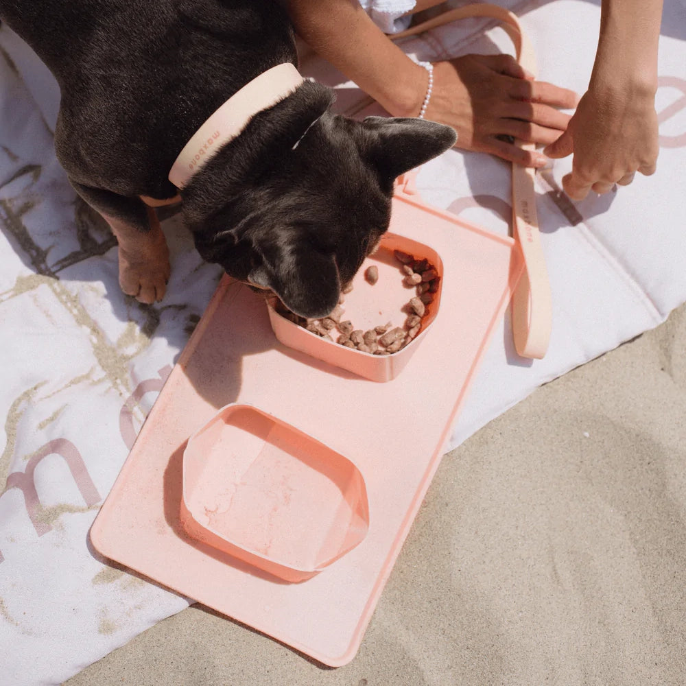 GO! Portable Bowl - Peach