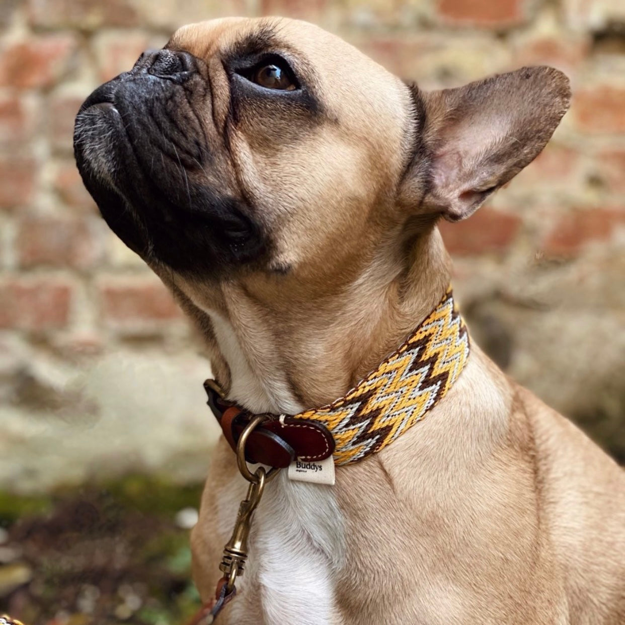 Collar de oro peruano