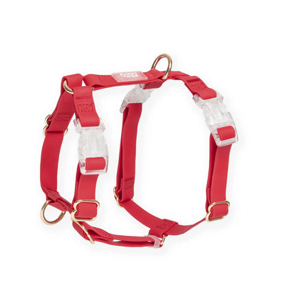 Harnais imperméable pour chien - Cherry Red