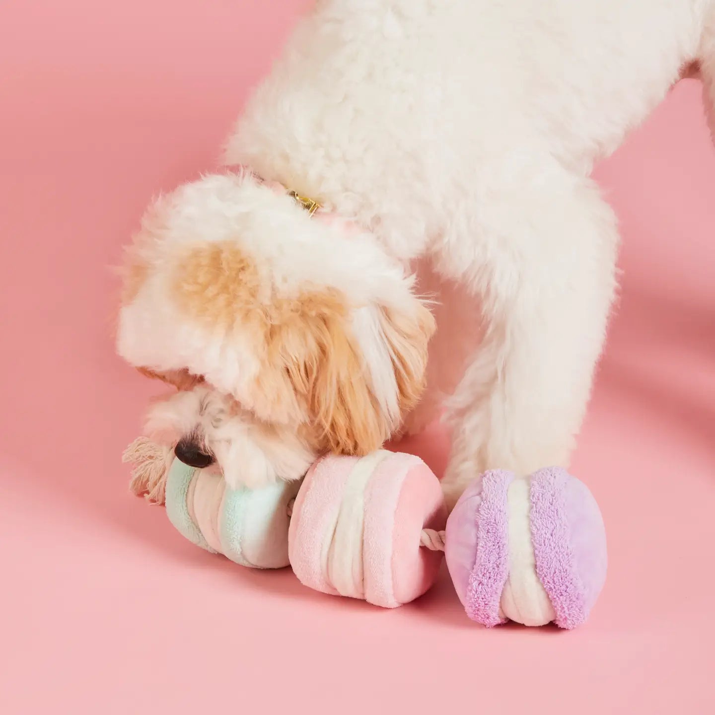 Macarons Interactive Snuffle Rope Dog Toy