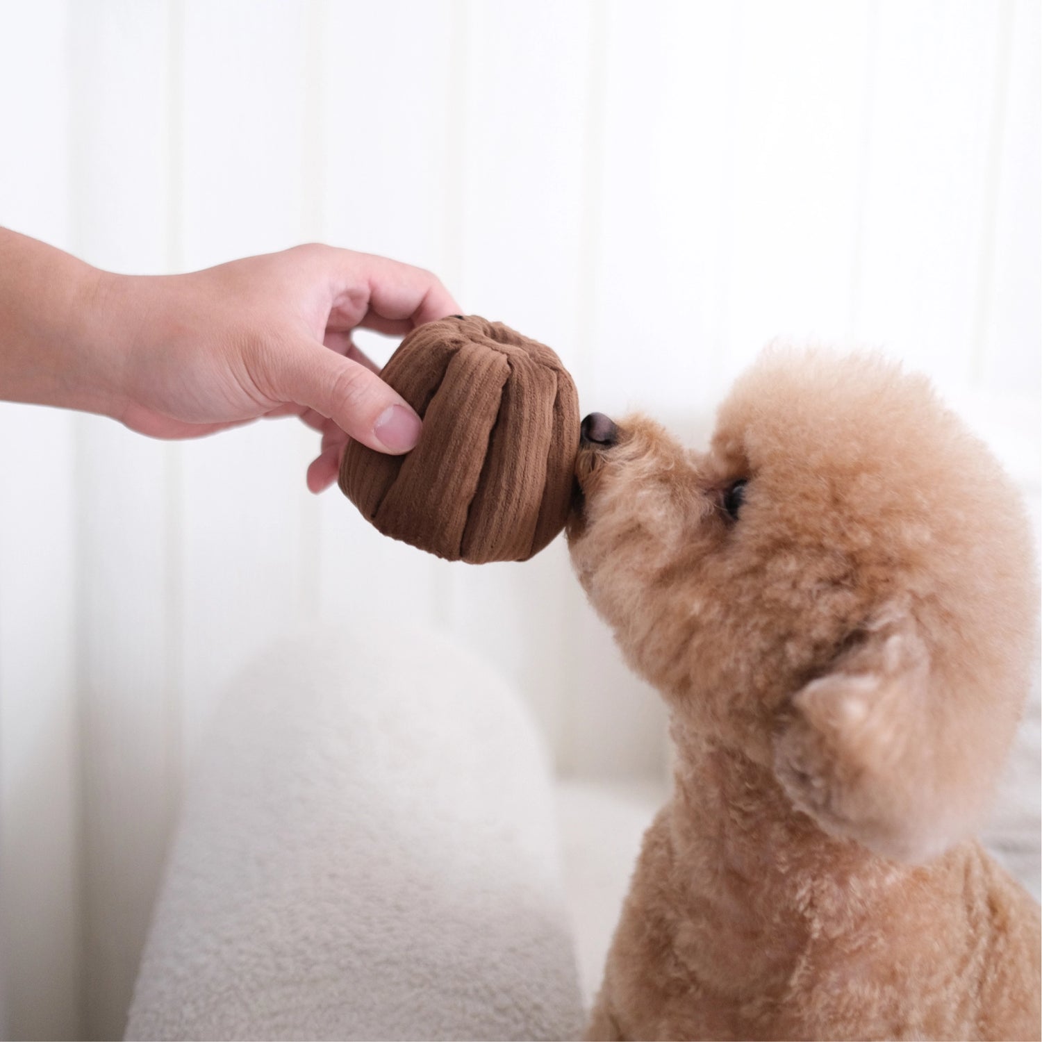 Canele | Jouet d'enrichissement pour chien