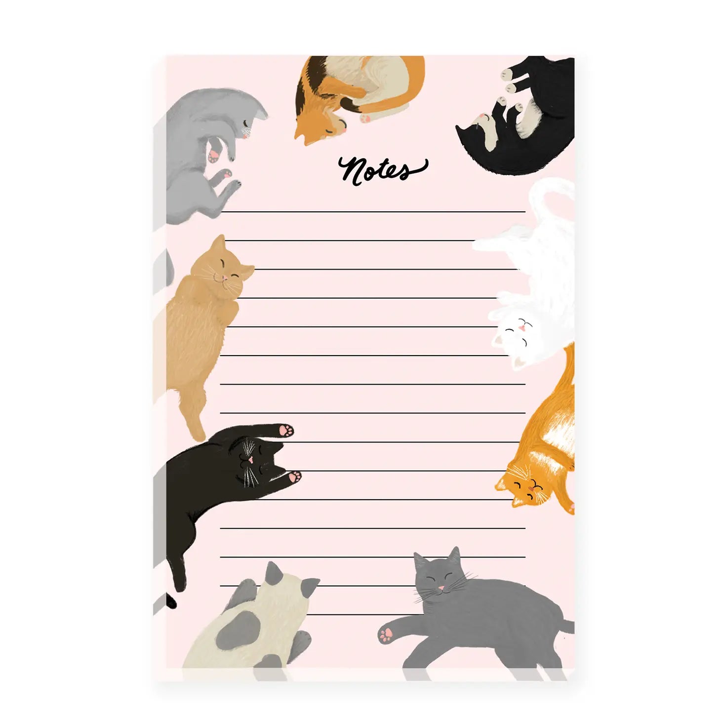 Bloc-notes pour chats