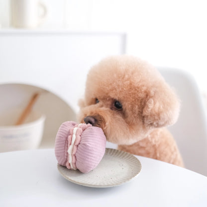 Petite Two | Jouet d'enrichissement pour chien