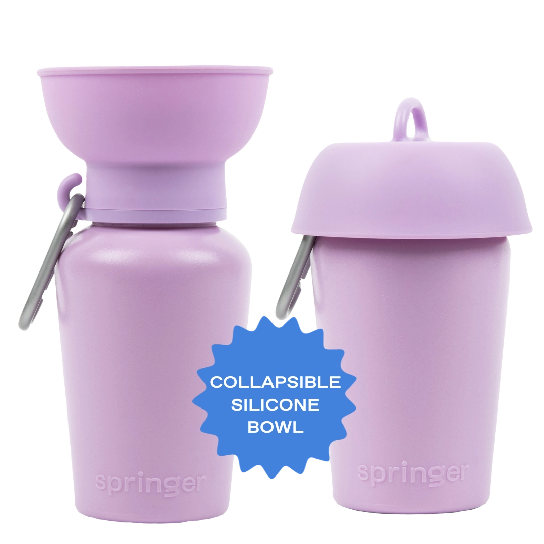 Bouteille de voyage Flip Dog - Lilas