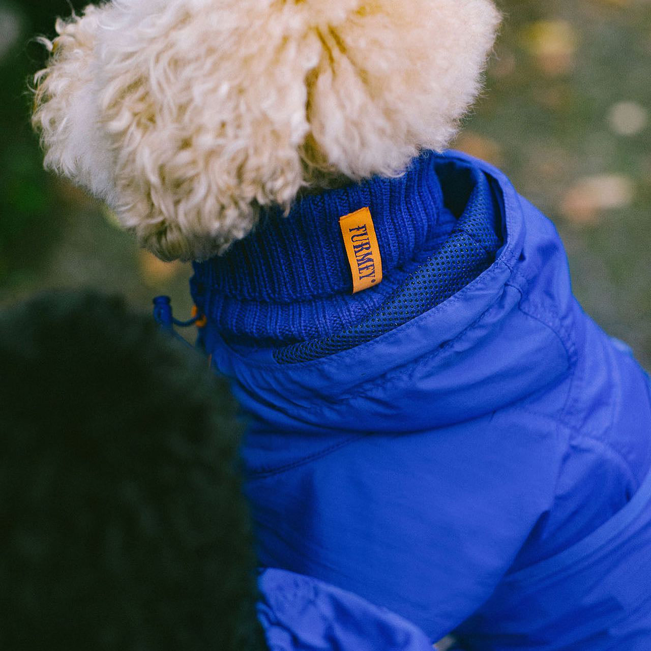 Veste de pluie Romeo - Bleu électrique