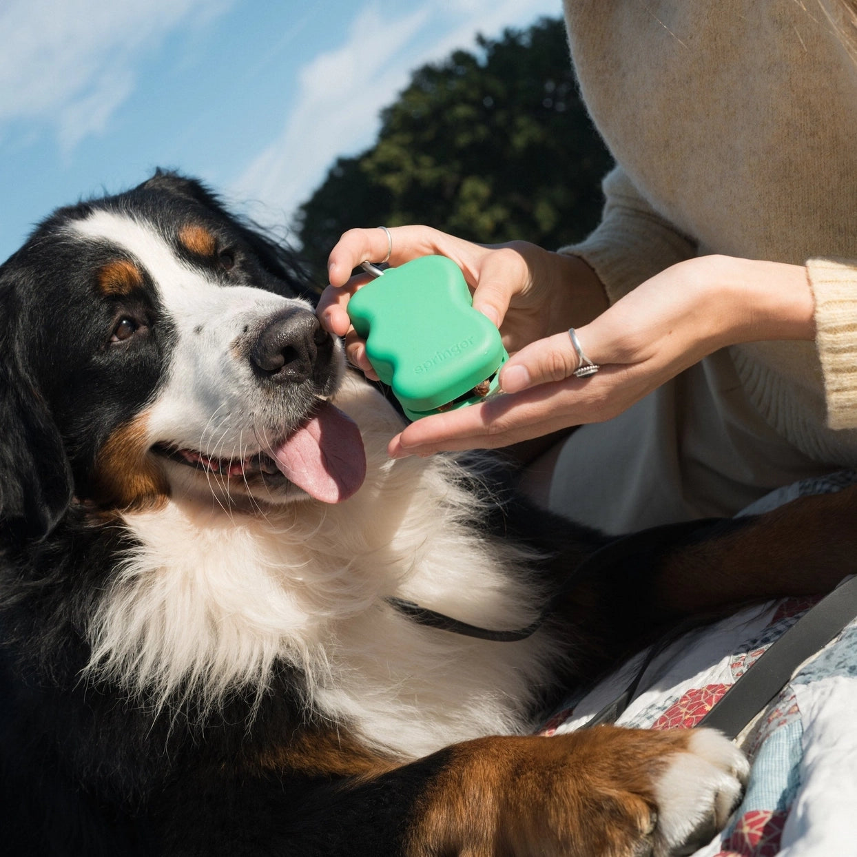 Distributeur de friandises pour chiens en silicone - Springer Green