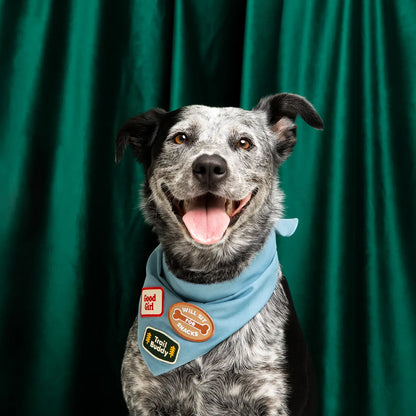 Badge de la bonne fille