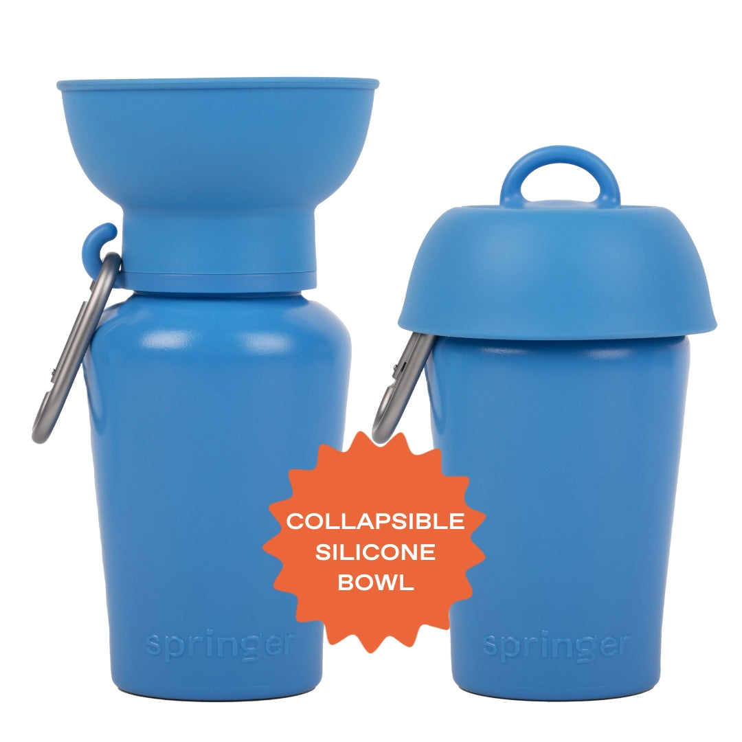 Flip Dog Travel Bottle - Blueberry