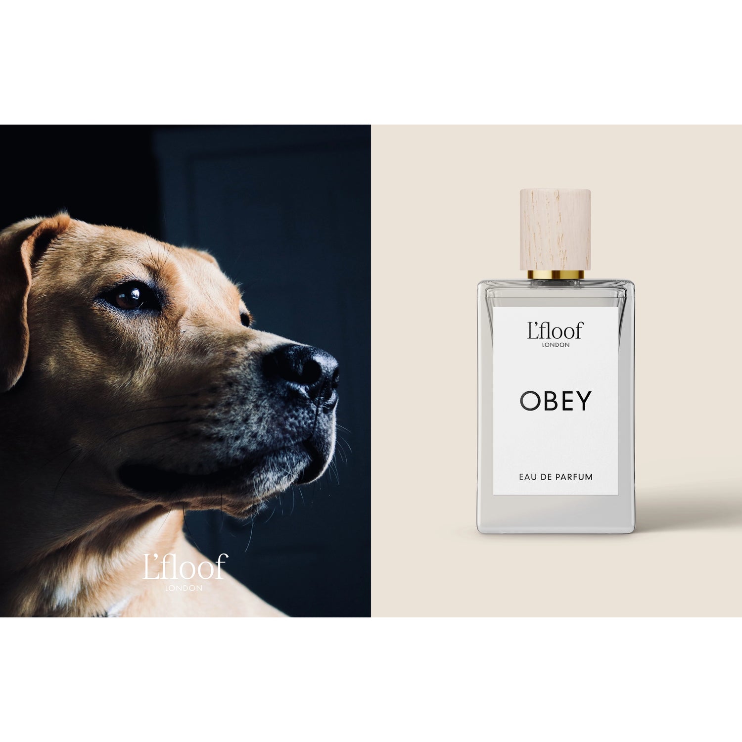 Parfum pour chien Vaporisateur de parfum l Obey