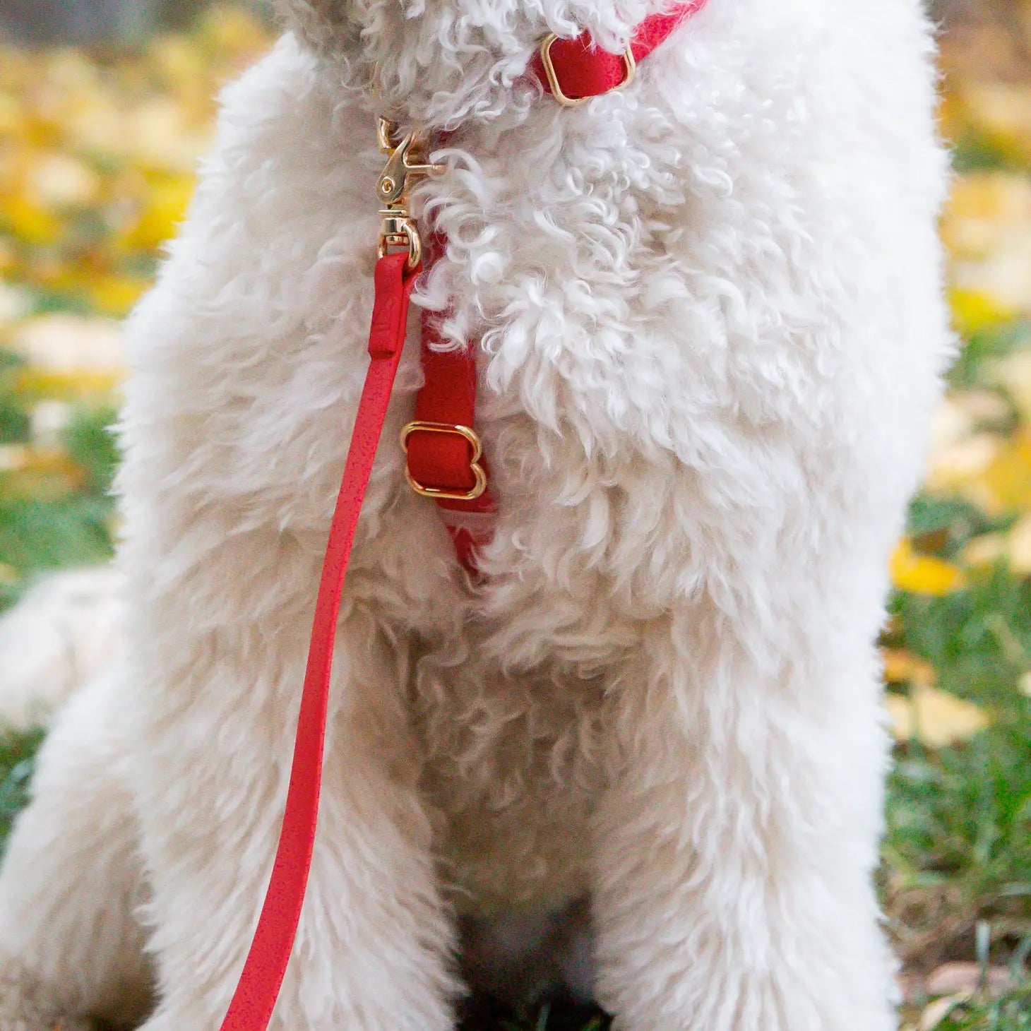 Harnais imperméable pour chien - Cherry Red