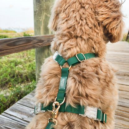 Harnais imperméable pour chien - Meadow Green