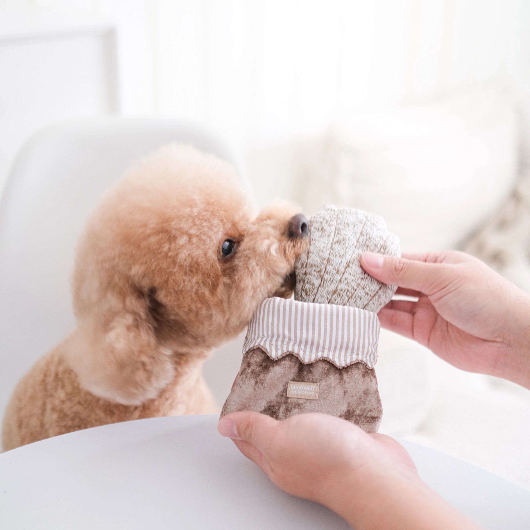 Petite Two | Jouet d'enrichissement pour chien