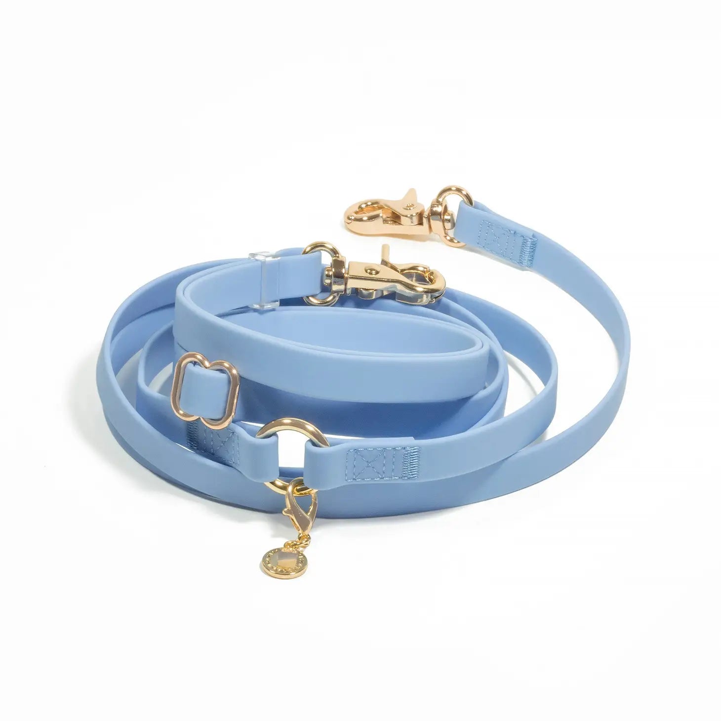 Laisse mains libres convertible 4 en 1 pour chien - Malibu Blue