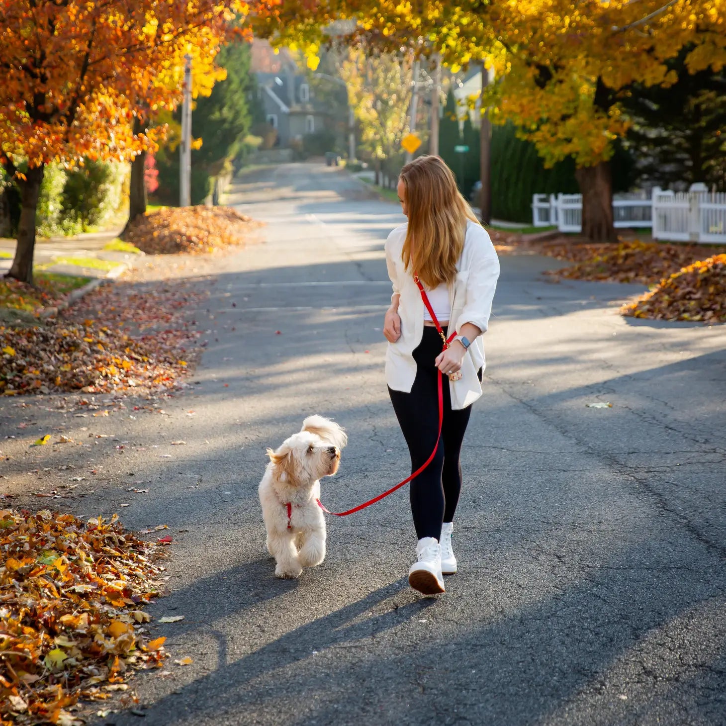 Laisse mains libres convertible 4 en 1 pour chien - rouge cerise