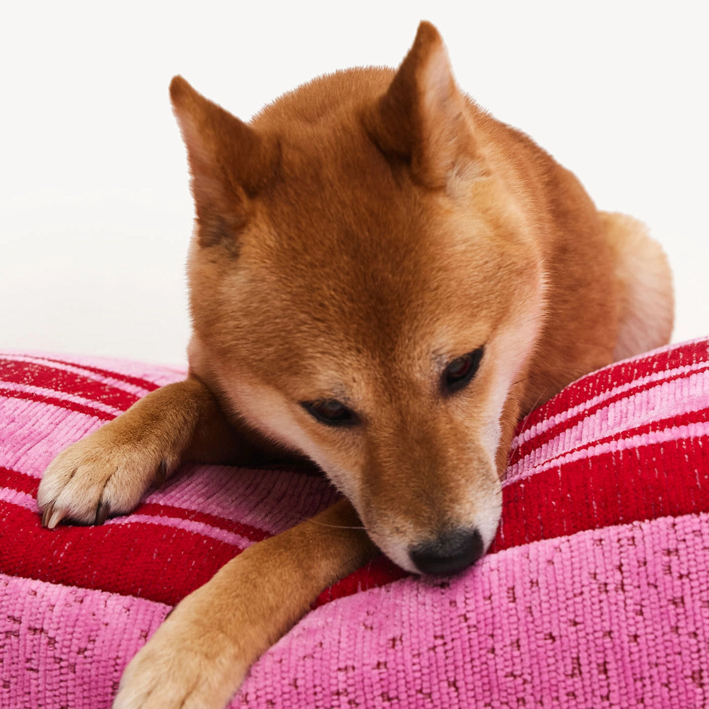 Panier à rayures pour chien - Rose/Rouge