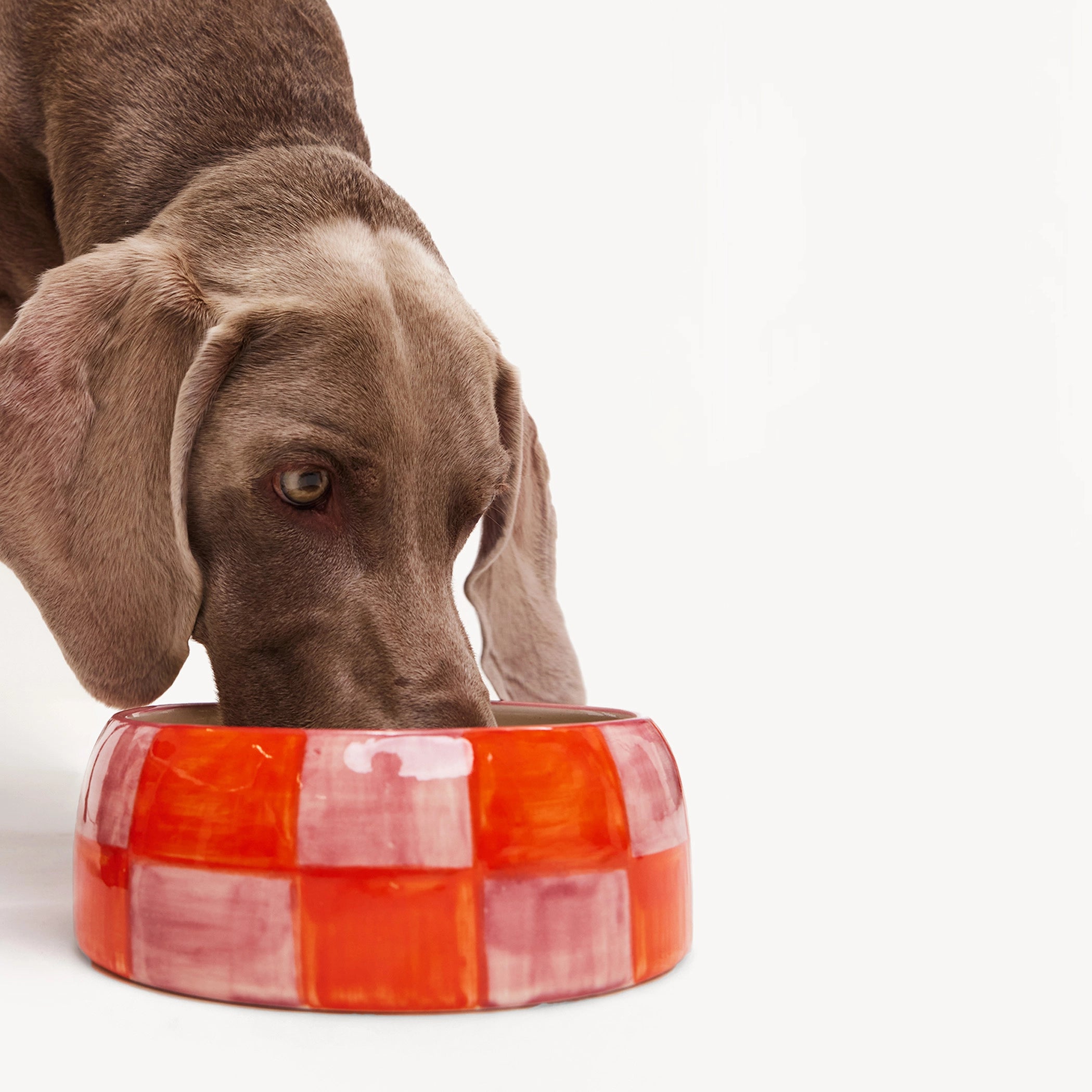 Bol en bloc - Orange/Rose