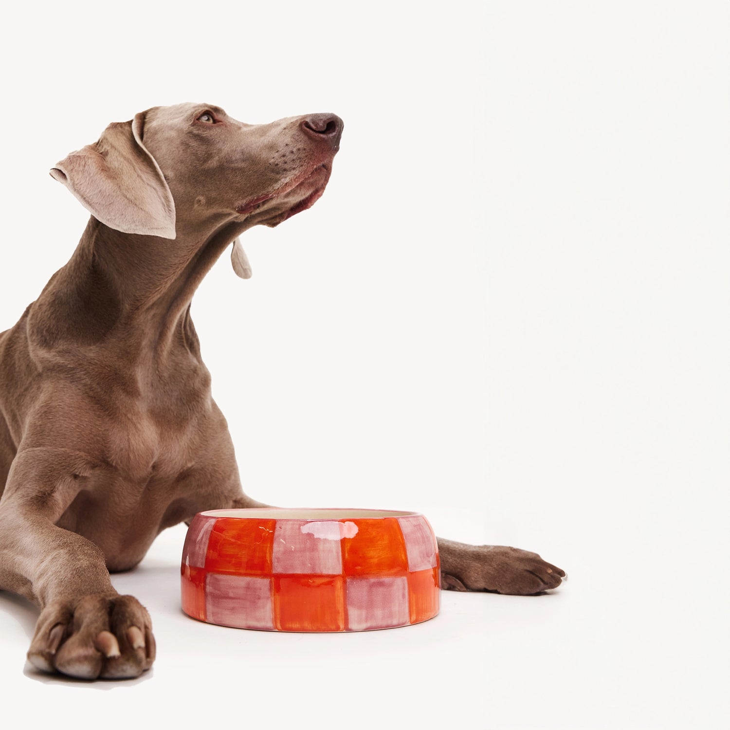 Bol en bloc - Orange/Rose