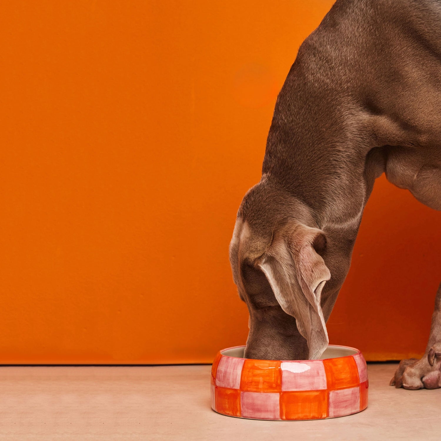 Bol en bloc - Orange/Rose