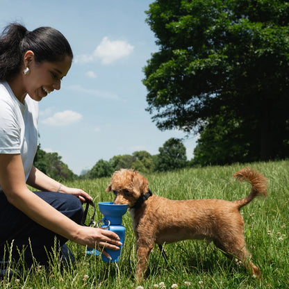 Flip Dog Travel Bottle - Blueberry
