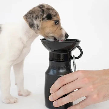 Bouteille d'eau de voyage - Noir