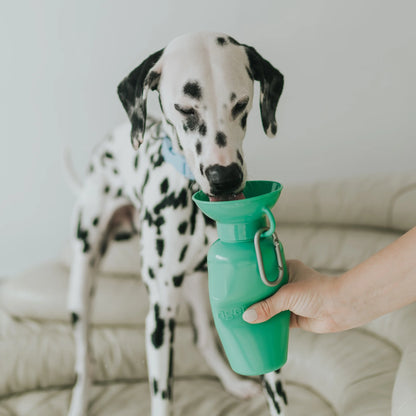 Bouteille d'eau de voyage - Springer Green