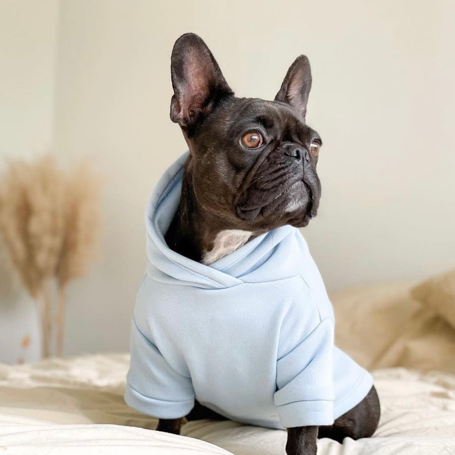 Pull pour chien - Bleu pastel