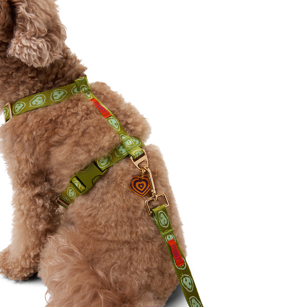 Harness - Matcha Green