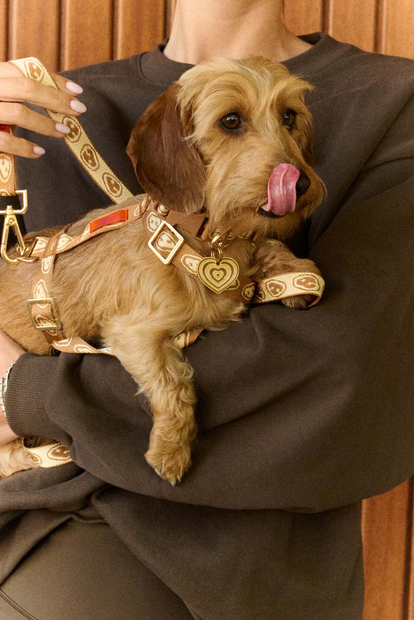 Chien Shop Tenue Pour Chien Vetement De Luxe Pour Chien Pet-à