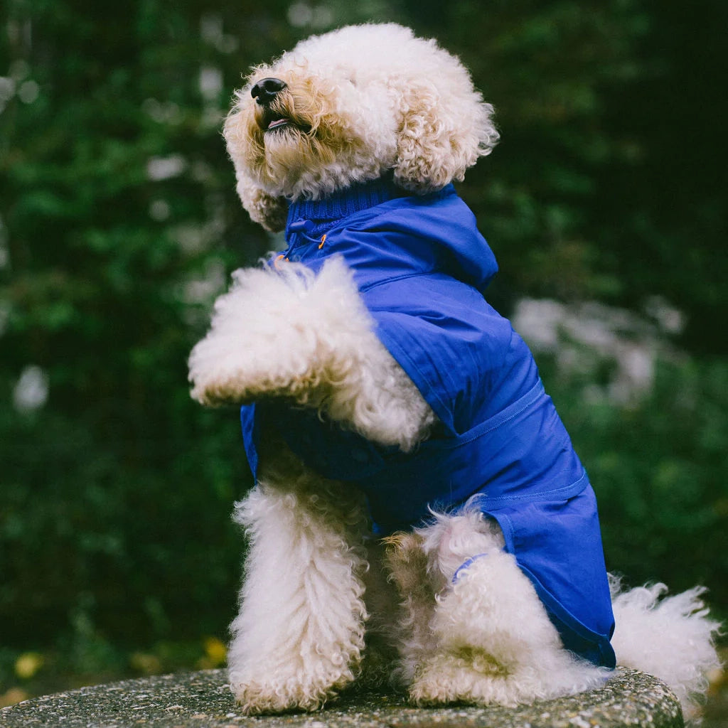 Veste de pluie Romeo - Bleu électrique