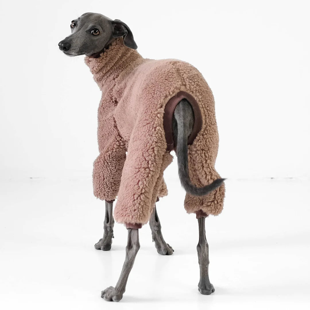 GREYHOUND Teddy Overall - Marron