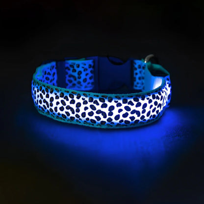 LED Dog Collar - Blue