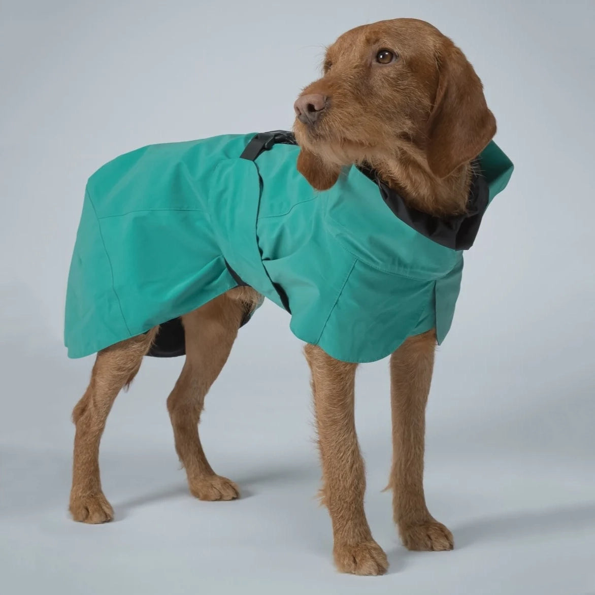 Visibility Raincoat - Emerald