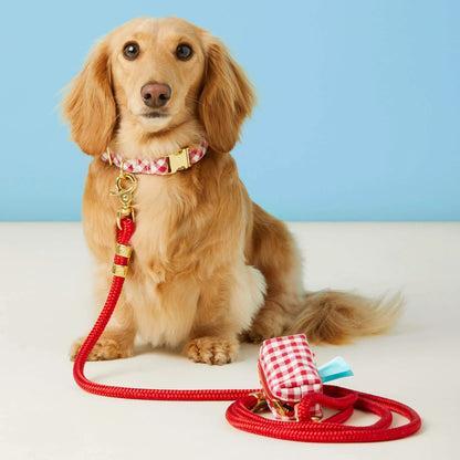 Red Gingham Waste Bag Holder