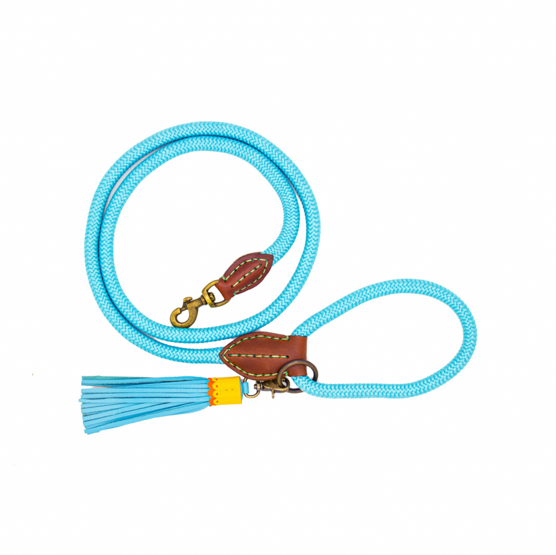 Laisse pour chien Blues