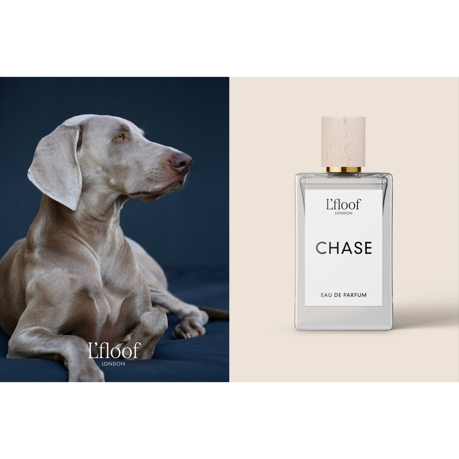 Parfum pour chien Vaporisateur de parfum l Chase