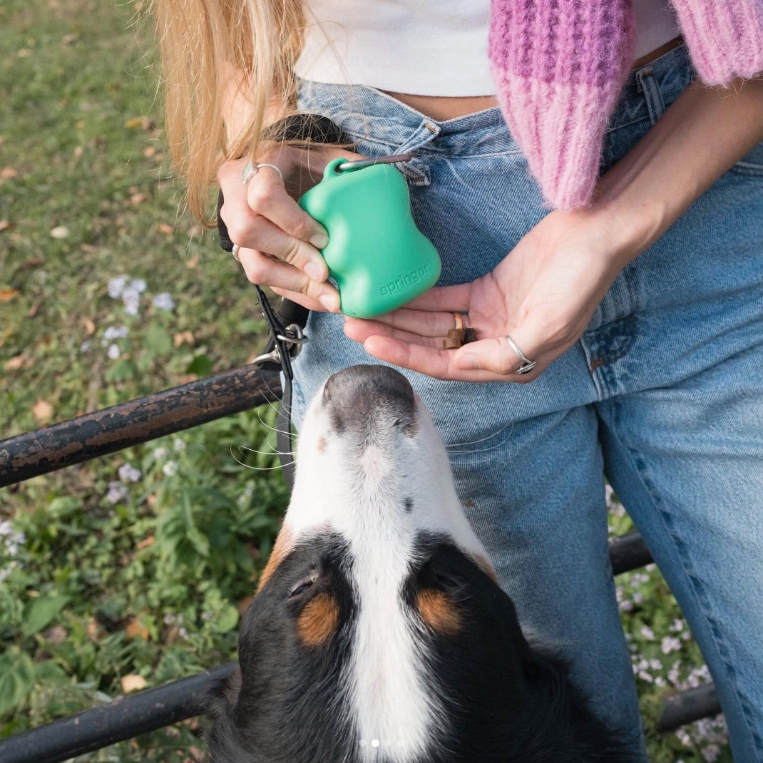 Distributeur de friandises pour chiens en silicone - Springer Green