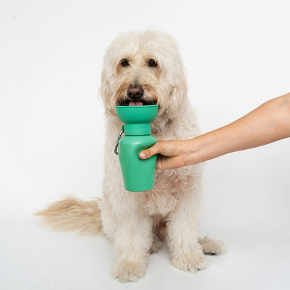 Bouteille de voyage Flip Dog - Springer Green