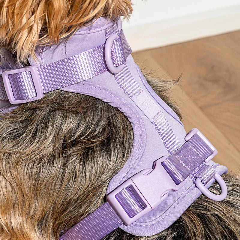 Harnais pour chien - Lilas