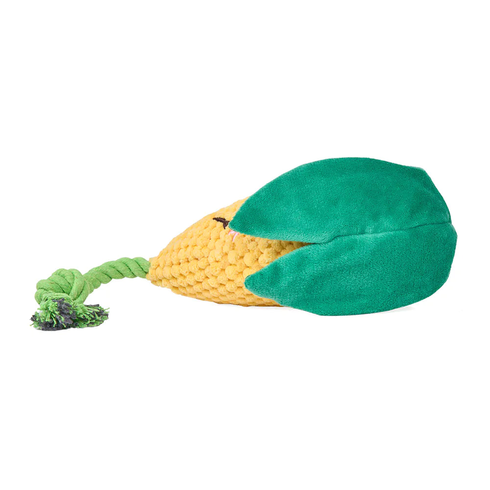Corn Crinkle Crop